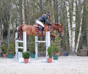 Ophélie Mouflet, picarde, cavalière professionnelle de saut d’obstacles.