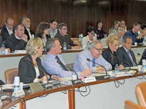 Du groupe Aimer la Picardie, Marc Bonef de Ham avait déposé une motion pour la Picardie.