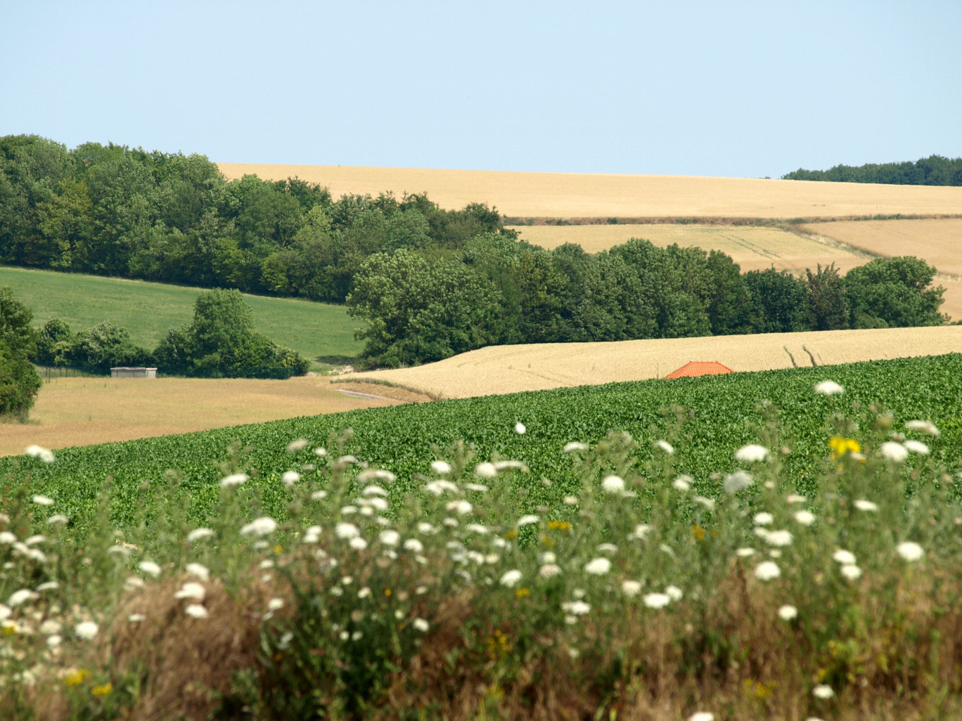 Les innovations sont conçues pour être utilisables par les acteurs agricoles et des territoires ruraux.