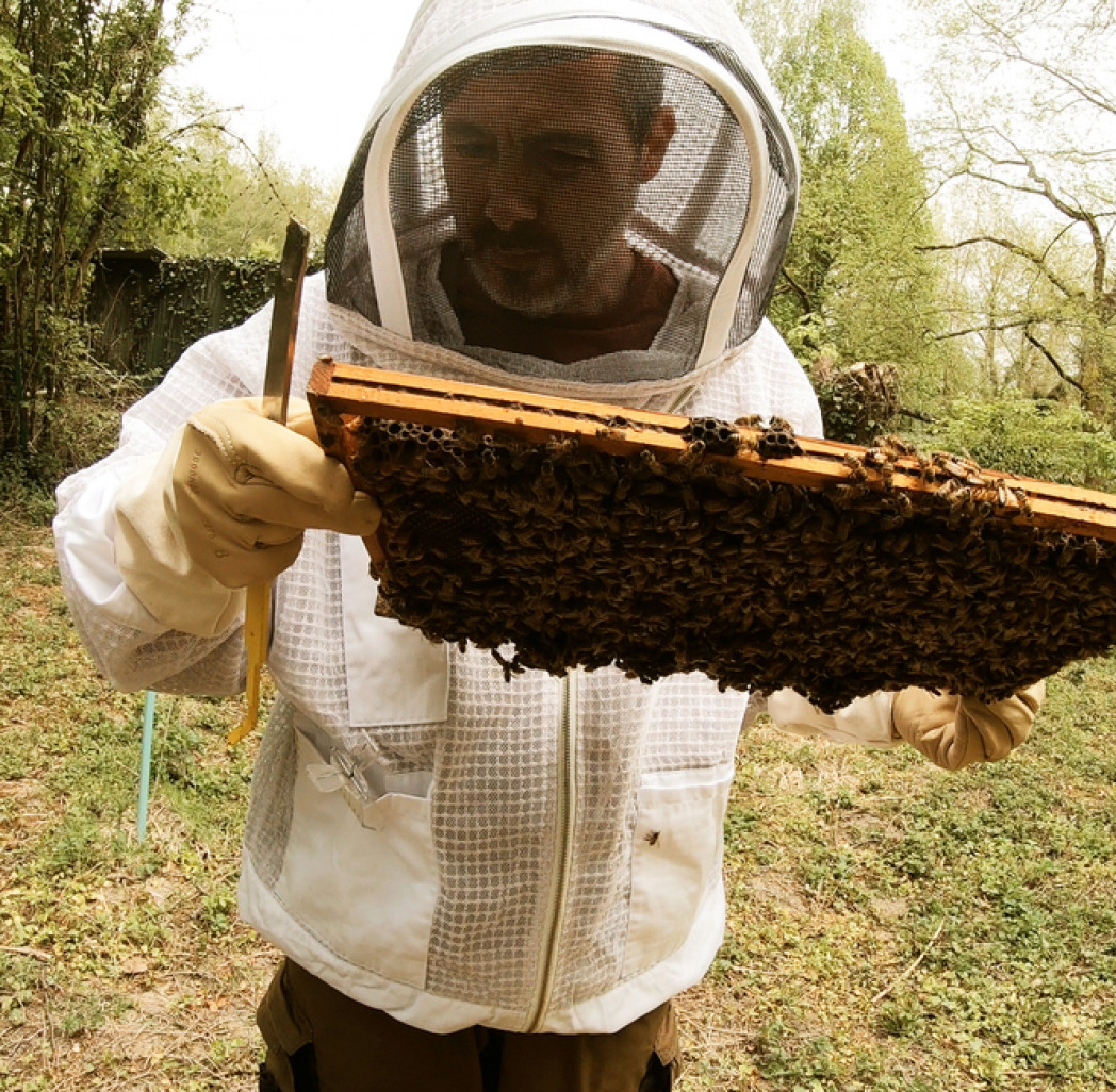 Christophe Dupont espère vendre son miel courant 2022.