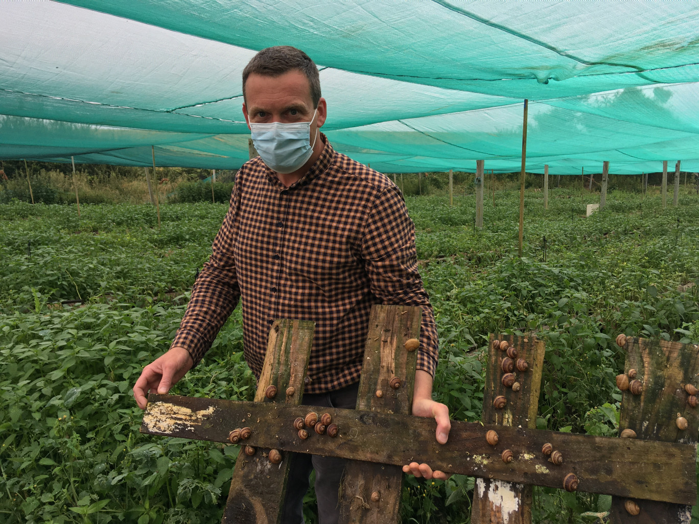 Romain Godefroy a lancé Saveurs d’escargots en 2007. (© Aletheia Press / DLP)