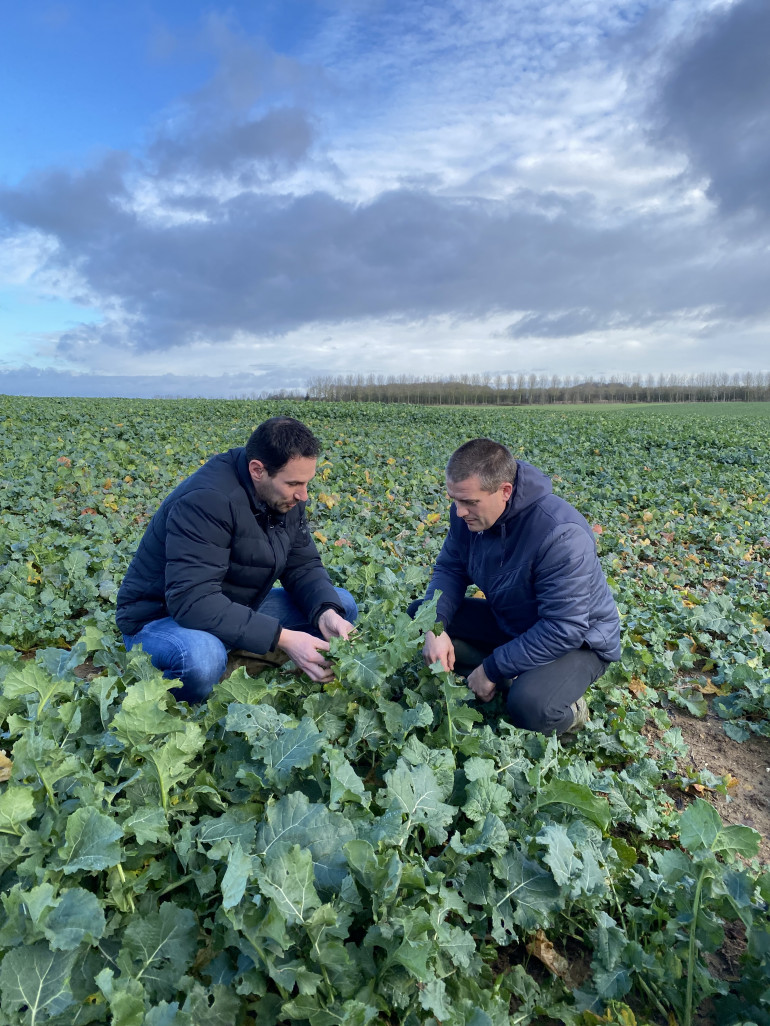 Nicolas Charpentier, directeur commercial des établissements de négoce Charpentier et Olivier Pécourt, agriculteur (polyculture-élevage) dans la Somme et utilisateur de la semence de colza en biocontrôle.