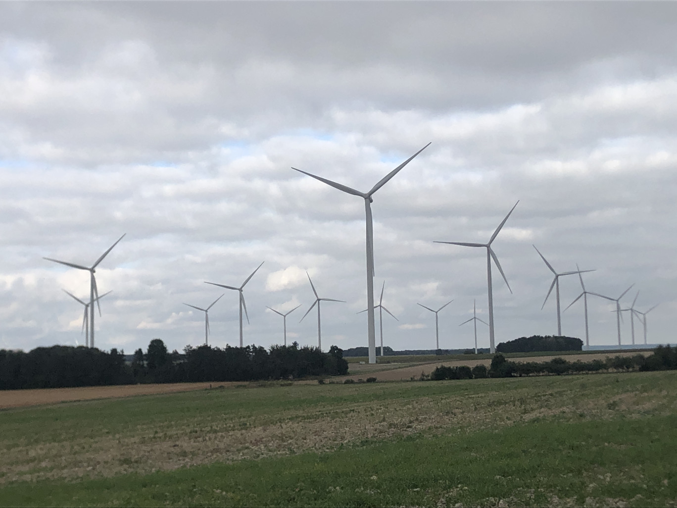 Les éoliennes du territoire de la CC2SO vont permettre de produire de l’hydrogène vert, l’un des des piliers du cluster VERT. ©Aletheia Press/ Emma Castel