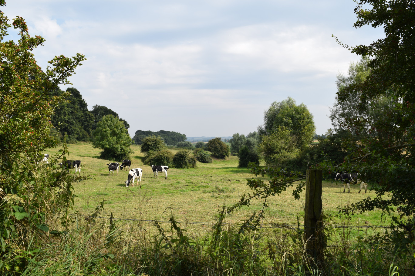 L'objectif de Territoires engagés pour la nature : que les collectivités préservent et restaurent la biodiversité de leur territoire.