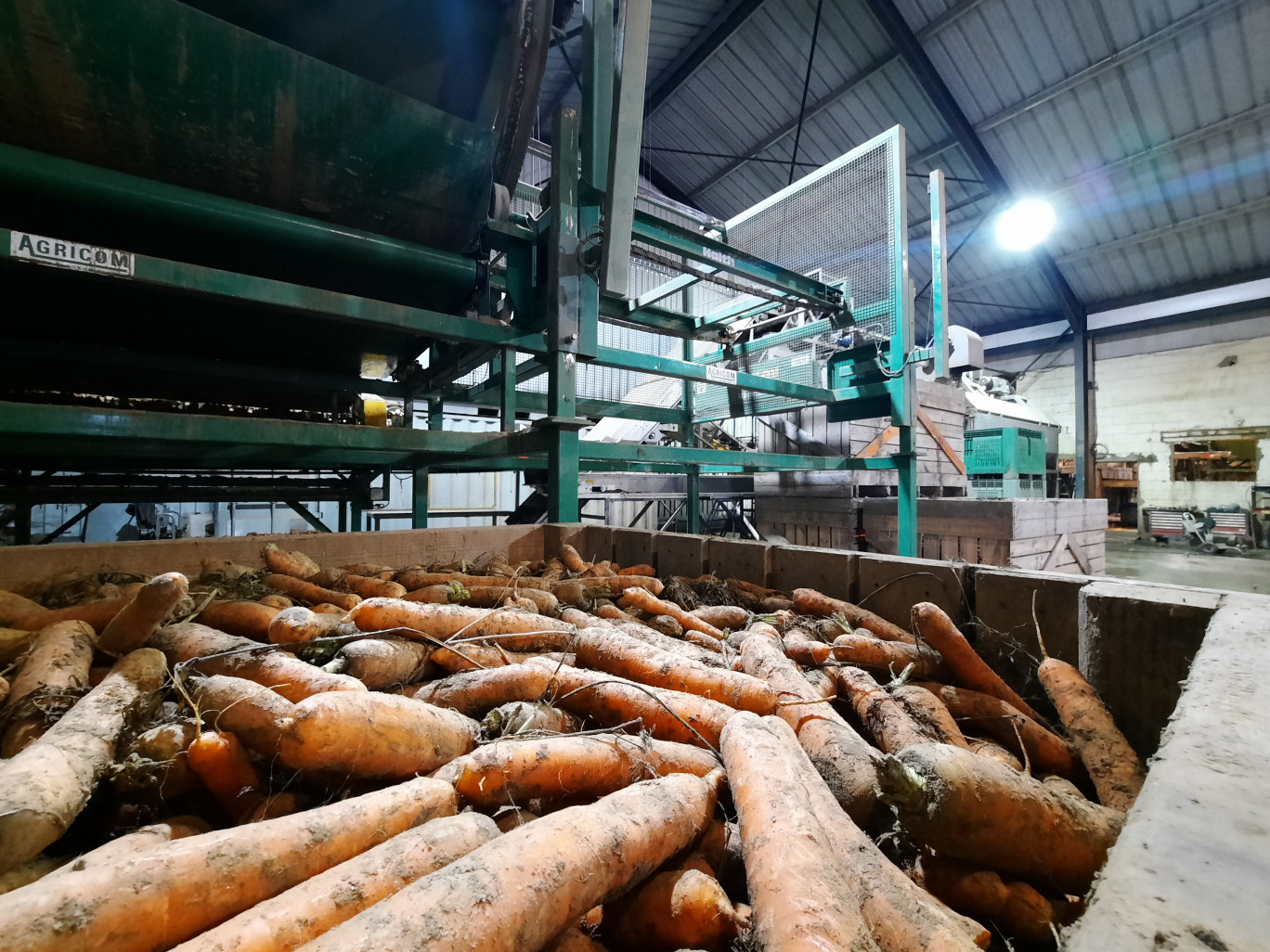 Pour gagner en productivité, l’entreprise Champs de légumes a décidé de robotiser le triage des carottes et leur conditionnement. ©Aletheia Press/ L. Péron