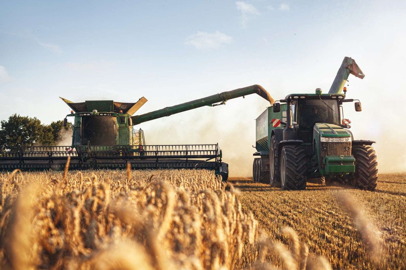 Fortement sinistrée, l'agriculture compte 69 défaillances (+77%), un nombre proche des plus hautes valeurs enregistrées sur les deux dernières décennies. (c)AdobeStock