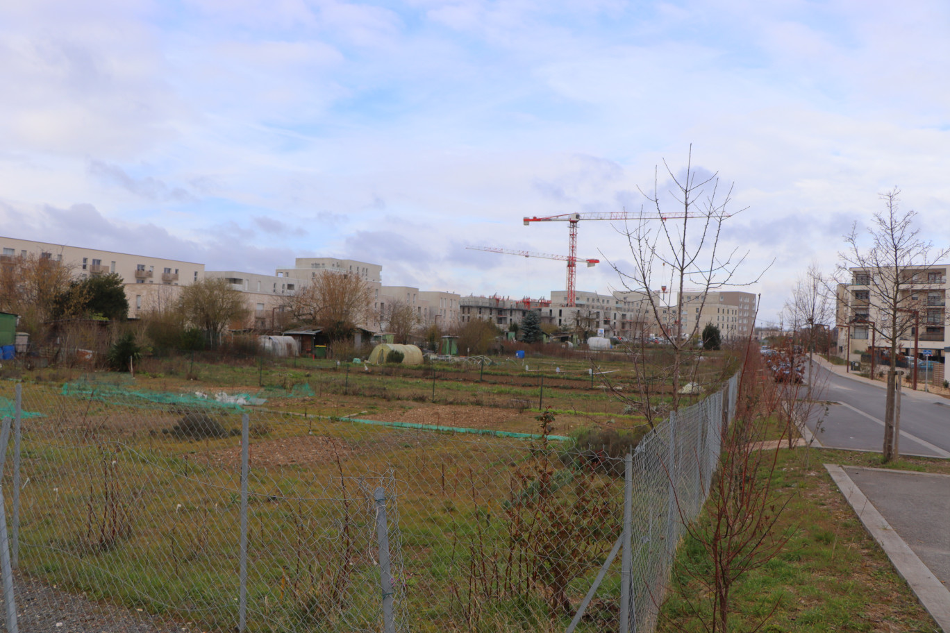 Quinze hectares d'espaces verts seront créés à terme.