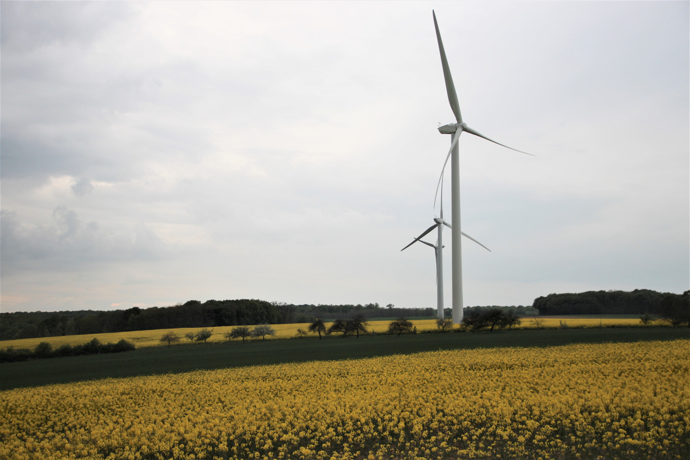 Etnef estime qu’il est anormal de concentrer les efforts sur l’éolien et le solaire « qui ne représentent que 14% des enjeux des énergies renouvelables ». ©Aletheia Press/ B.Delabre