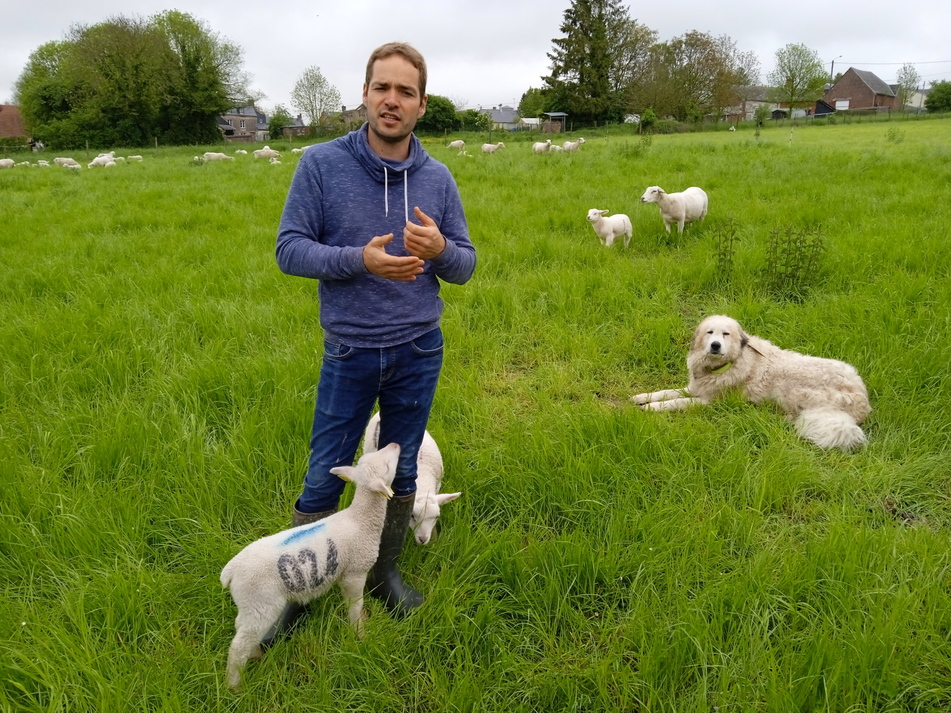 Alexandre Lécuyer, à la fois agriculteur et éleveur, a repris la ferme familiale à Monceau-le-Neuf.