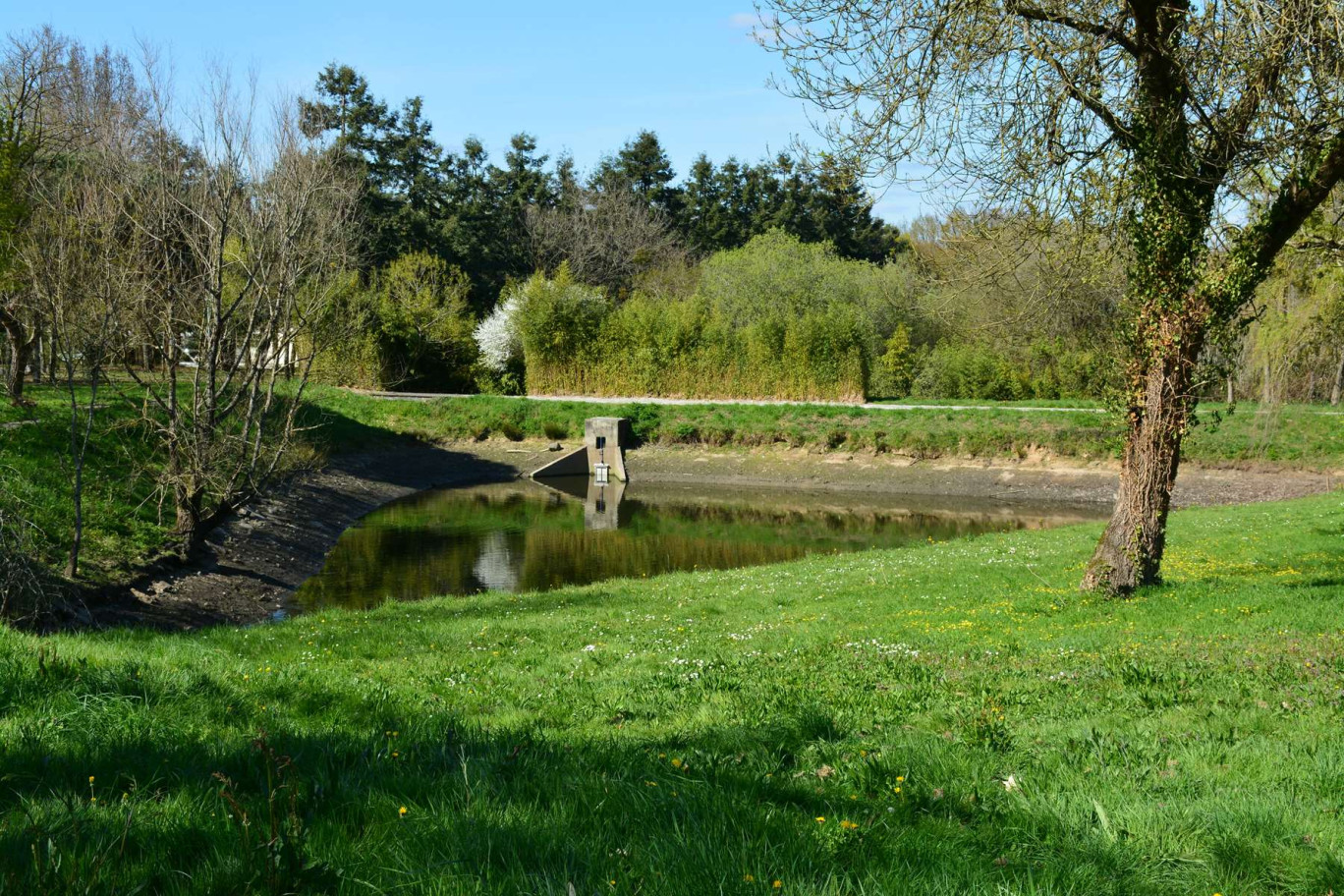 L'Agence de l'eau Artois-Picardie consacre 3,06 millions de son budget à la gestion des eaux pluviales. (c)AdobeStock
