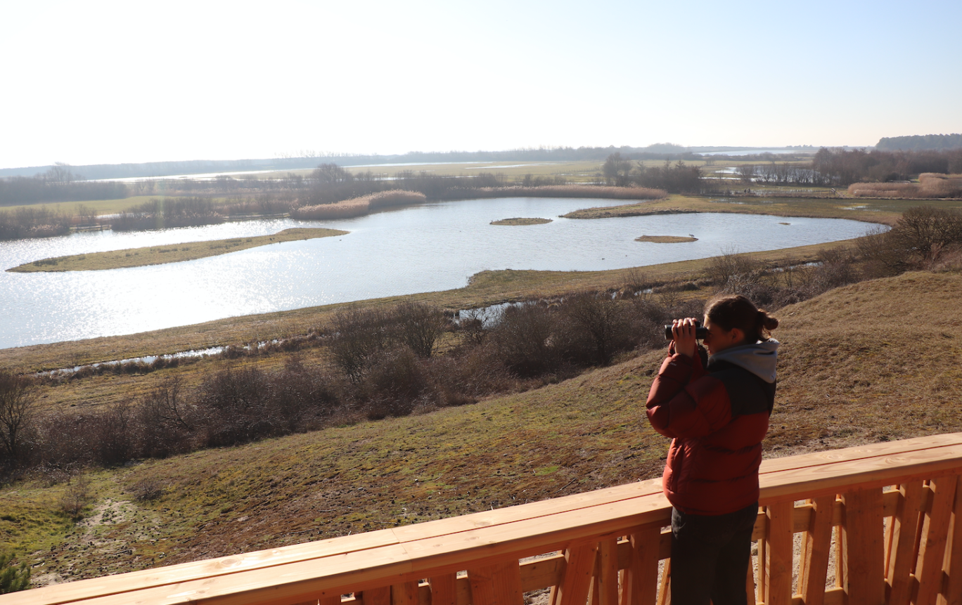 Le parc ornithologique du Marqueterre séduit de plus en plus.