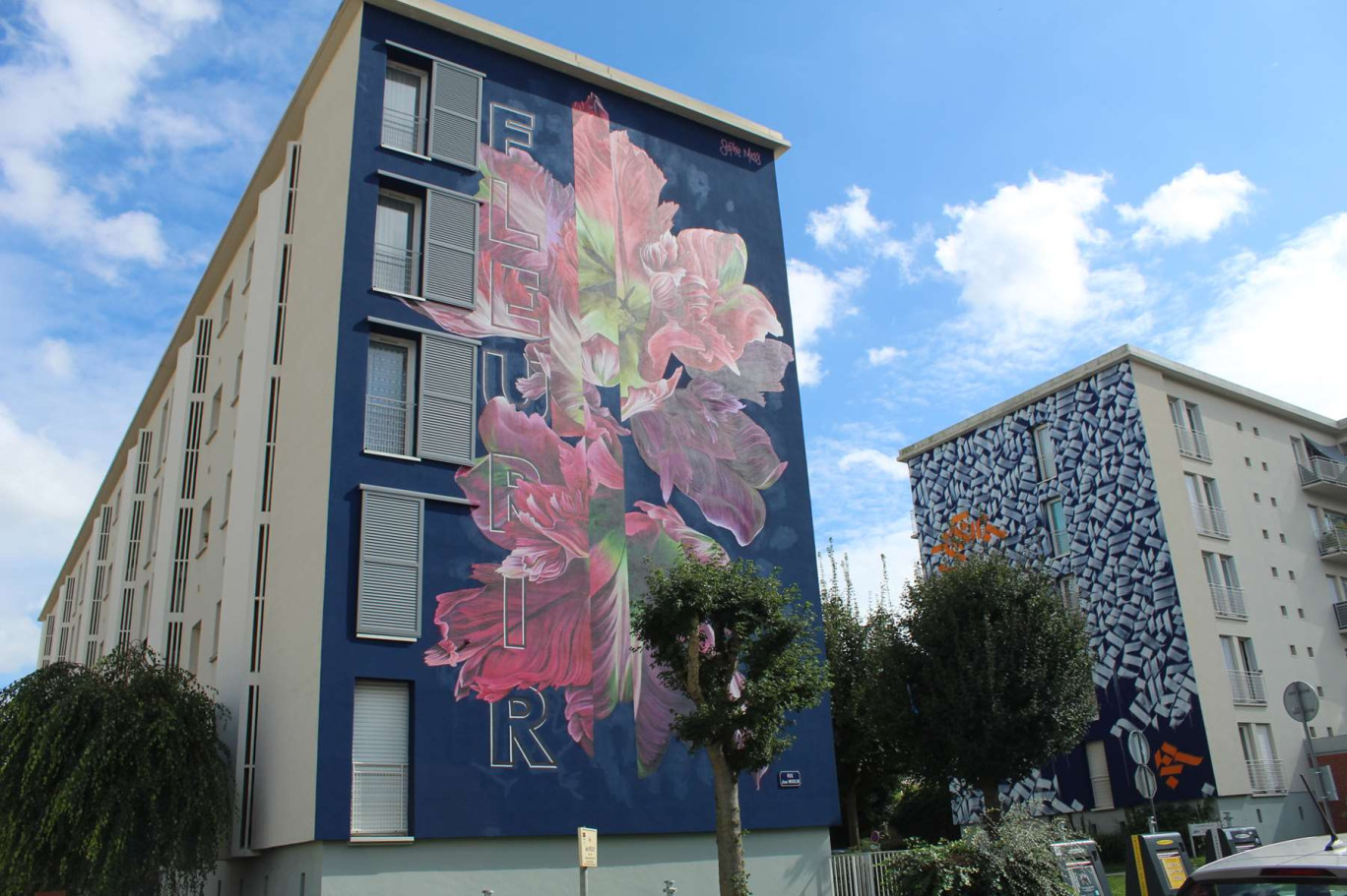 Dans le quartier de la gare, à la croisée de deux fresques, celle (au premier plan) de la Britannique Sophie Mess, inspirée de la botanique et celle du Tunisien Shoof qui déconstruit l’alphabet arabe pour s’interroger sur la place du langage dans nos sociétés contemporaines.