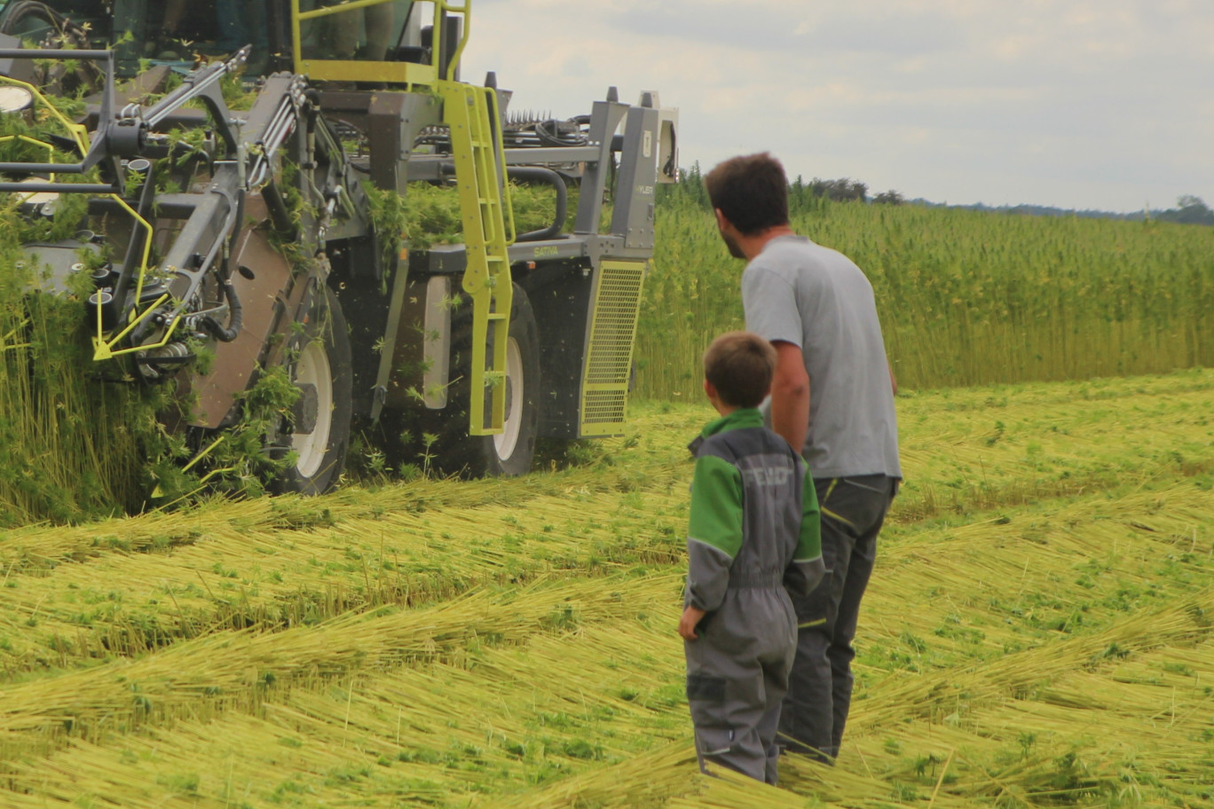 Le renouvellement des générations est un enjeu de taille pour l’agriculture régionale. @Aletheia Press/ BDelabre