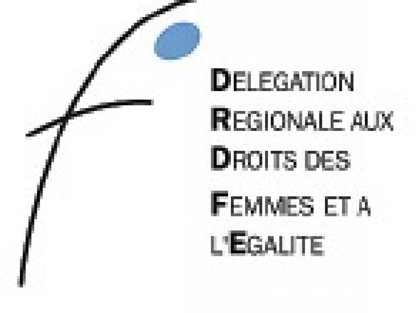 Les délégations régionales aux droits des femmes et à l’égalité visent à favoriser l’égalité entre hommes et femmes dans la vie économique, politique, et sociale.