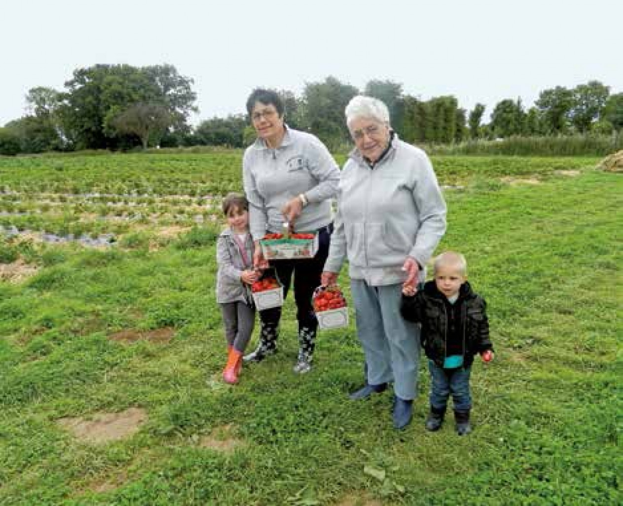 Lancé l’année dernière, le self fraises de Sommereux compte également de nombreux fruits et légumes.