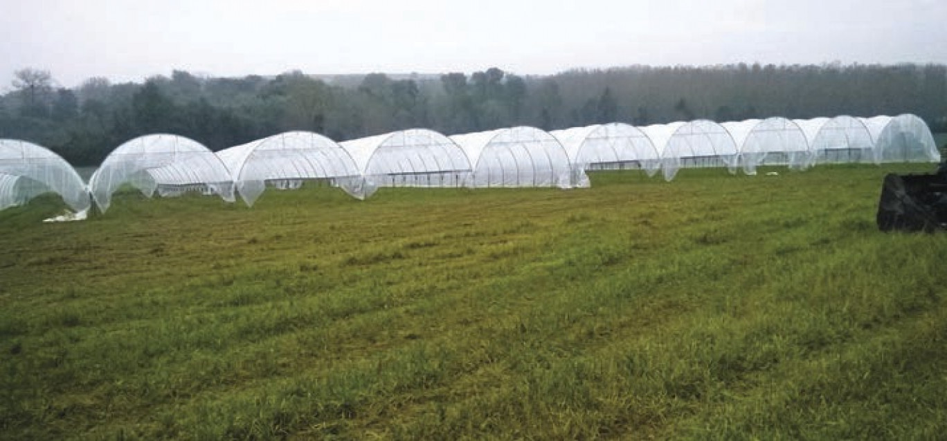 L'espace test s'étend sur 1,5 hectare, dans l'enceinte du lycée agricole du Paraclet, à Cottenchy. 