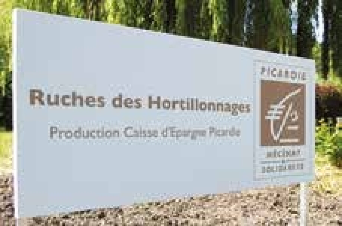 Les ruches de la Caisse d’Épargne se trouvent à quelques coups de rames du siège amiénois.