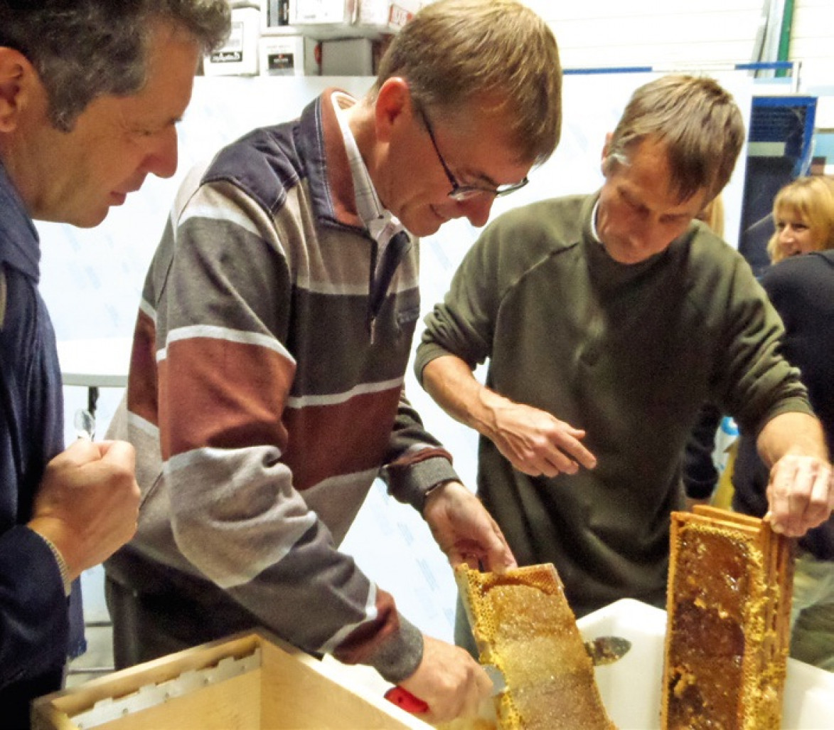 Les dirigeants des entreprises marraines des ruches ont participé à la récolte du miel de "leurs" abeilles avant de le goûter.