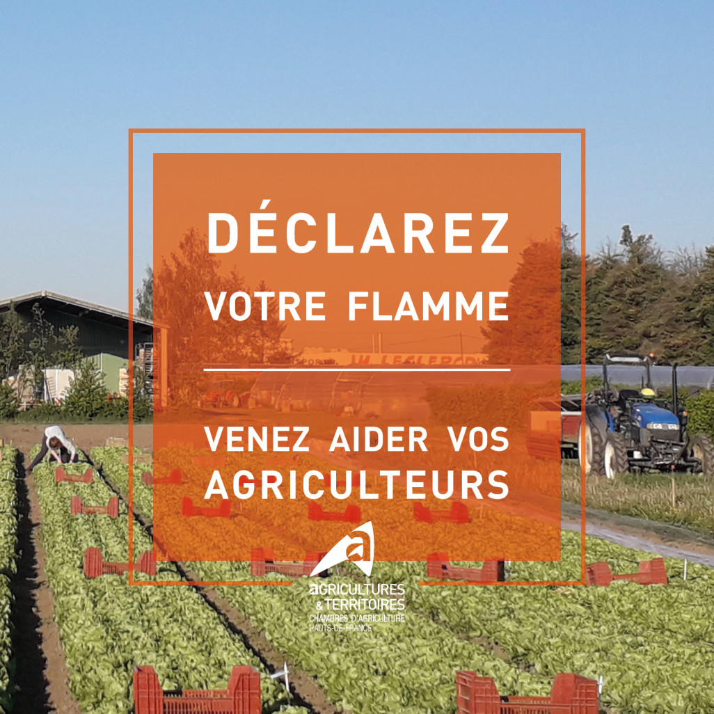 Une communication pour la solidarité.