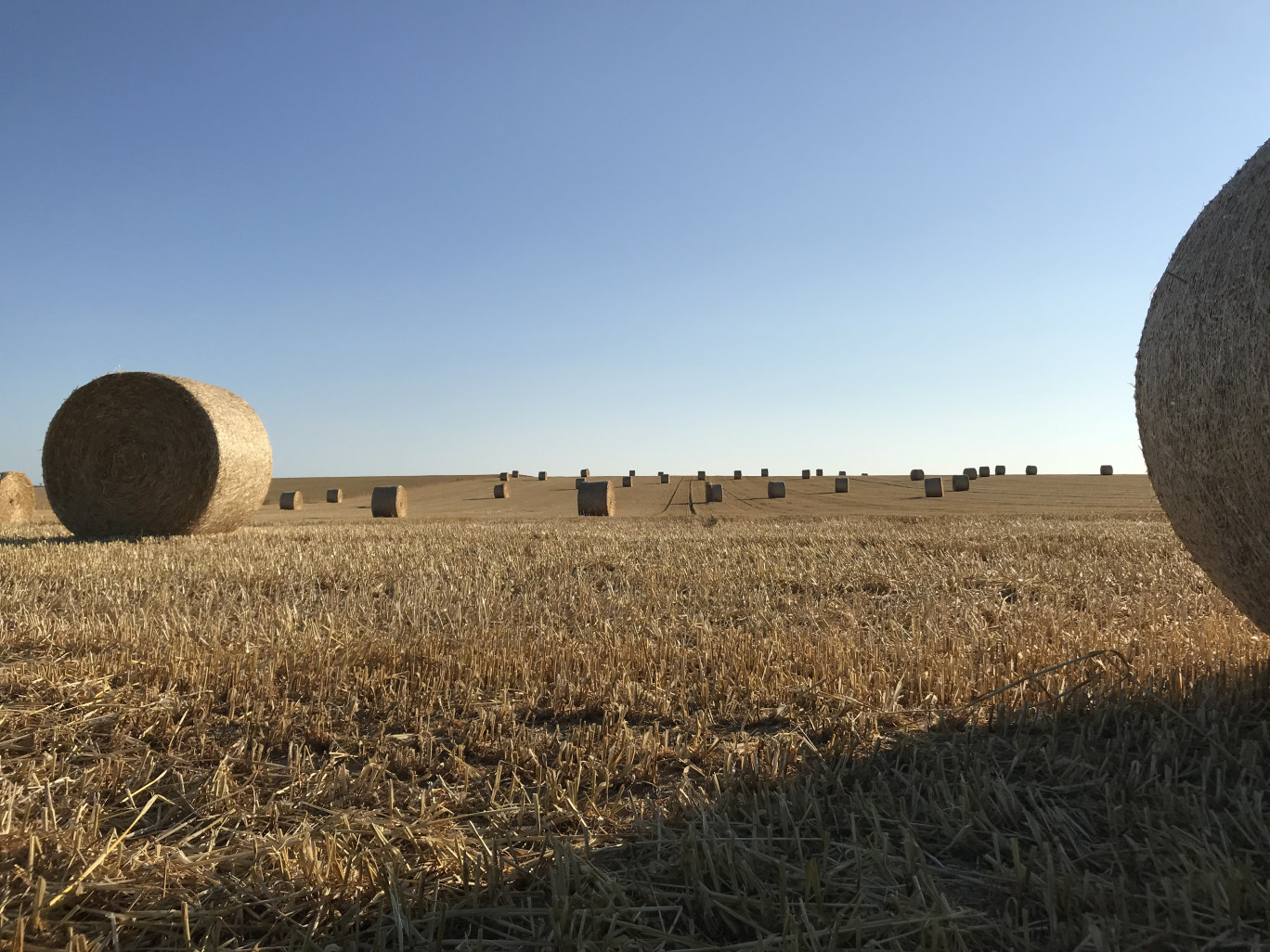 Les parcelles agricoles appartiennent de plus en plus à des sociétés d’exploitation ou sociétés de portage, et non plus seulement à des particuliers.(c)O.Razemon