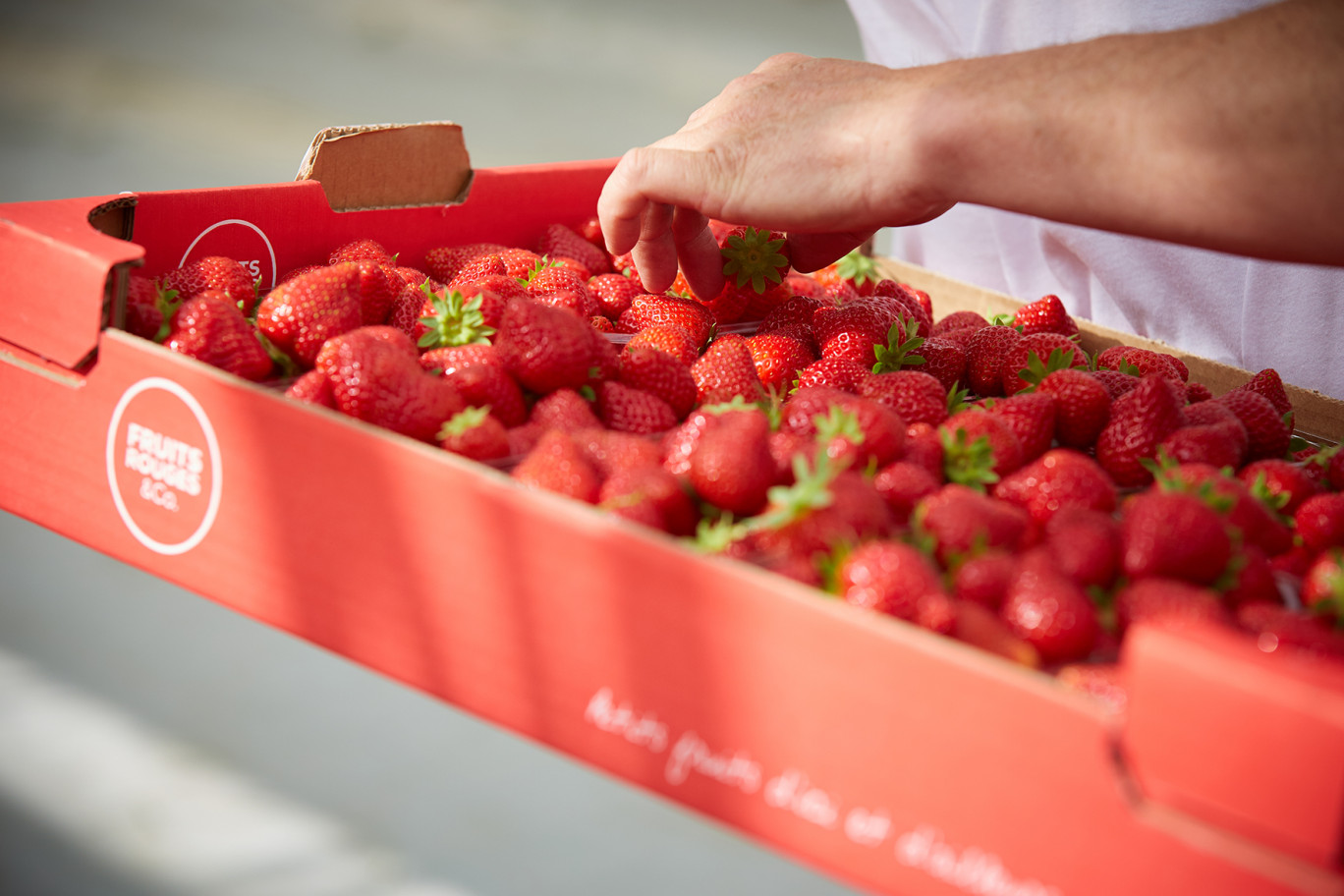 Fruits rouges &amp; co vend des fruits sous forme de coulis ou de purée, mais son cœur de métier reste le fruit frais. © Fruits rouges &amp; Co