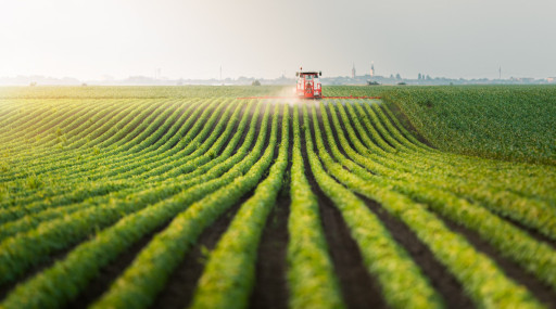 Élections dans les chambres d'agriculture : la FNSEA et les JA en tête dans l'Aisne et la Somme