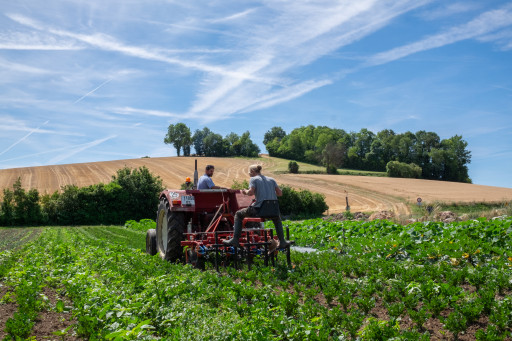 Le bio pousse et s'enracine dans la région